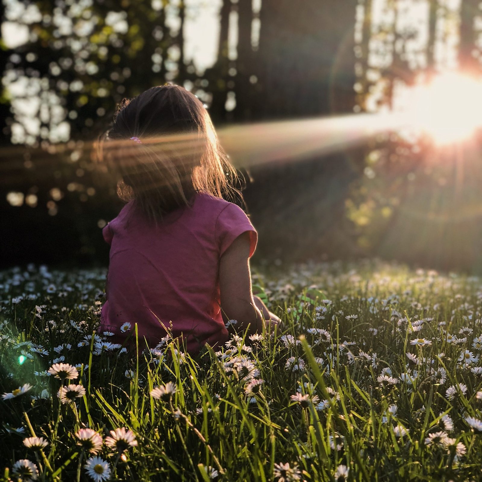 melissa-askew-8n00CqwnqO8-unsplash melissa-askew-8n00CqwnqO8-unsplash